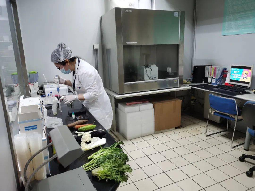 霞山食品检测实验室装修方案